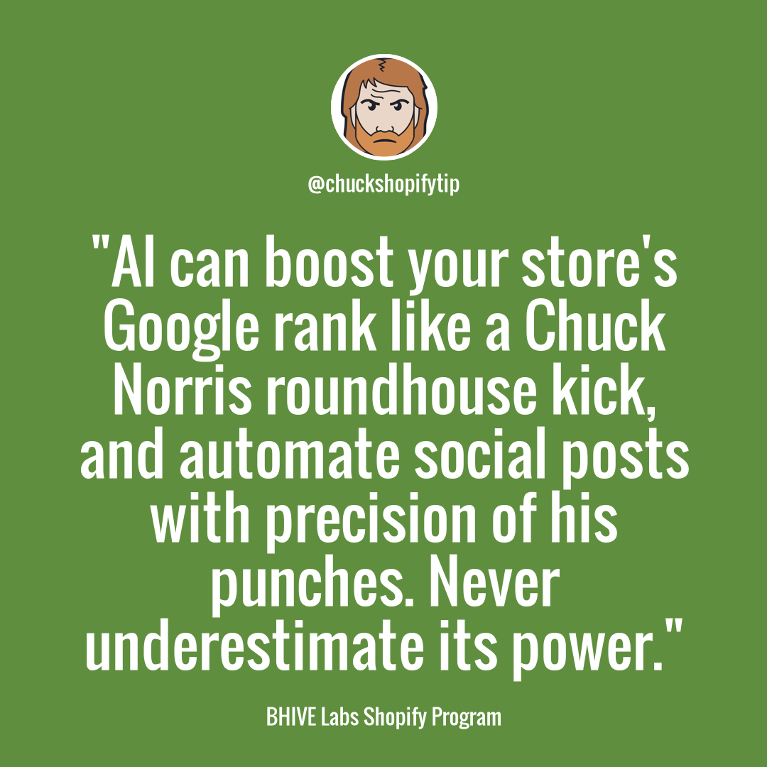 Boost Your Shopify Store's Google Ranking with the Power of AI: Chuck Norris Style! | BHIVE Labs