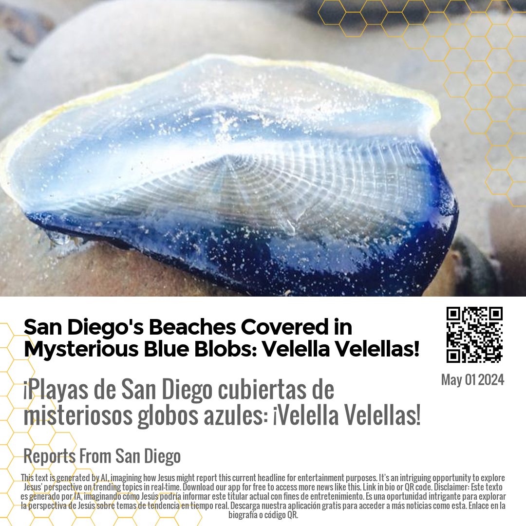 San Diego's Beaches Covered in Mysterious Blue Blobs: Velella Velellas!