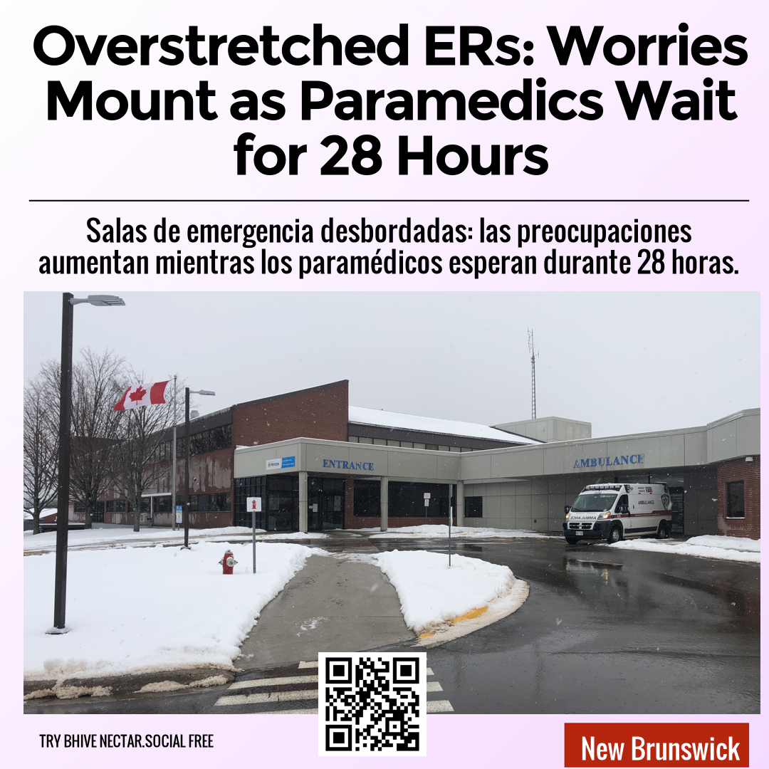 Overstretched ERs: Worries Mount as Paramedics Wait for 28 Hours