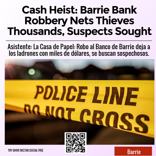 Cash Heist: Barrie Bank Robbery Nets Thieves Thousands, Suspects Sought