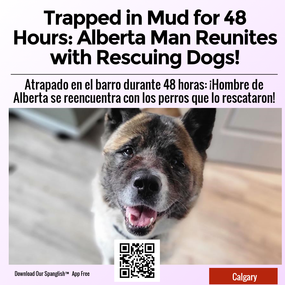 Trapped in Mud for 48 Hours: Alberta Man Reunites with Rescuing Dogs!