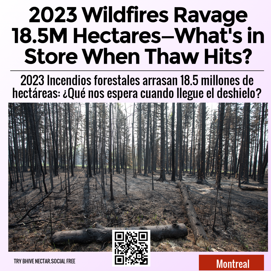 2023 Wildfires Ravage 18.5M Hectares—What's in Store When Thaw Hits?