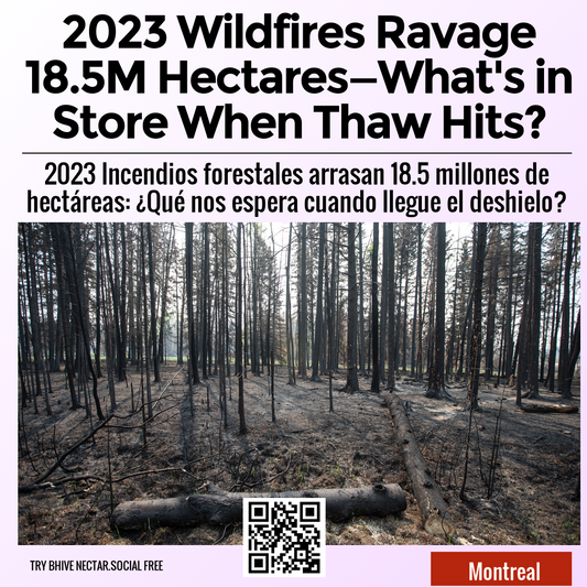 2023 Wildfires Ravage 18.5M Hectares—What's in Store When Thaw Hits?