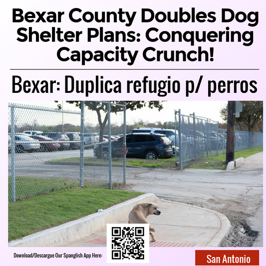 Bexar County Doubles Dog Shelter Plans: Conquering Capacity Crunch!