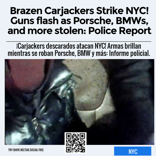 Brazen Carjackers Strike NYC! Guns flash as Porsche, BMWs, and more stolen: Police Report