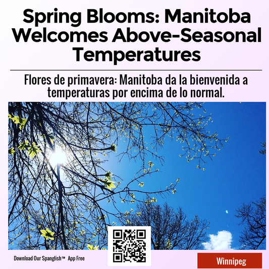 Spring Blooms: Manitoba Welcomes Above-Seasonal Temperatures