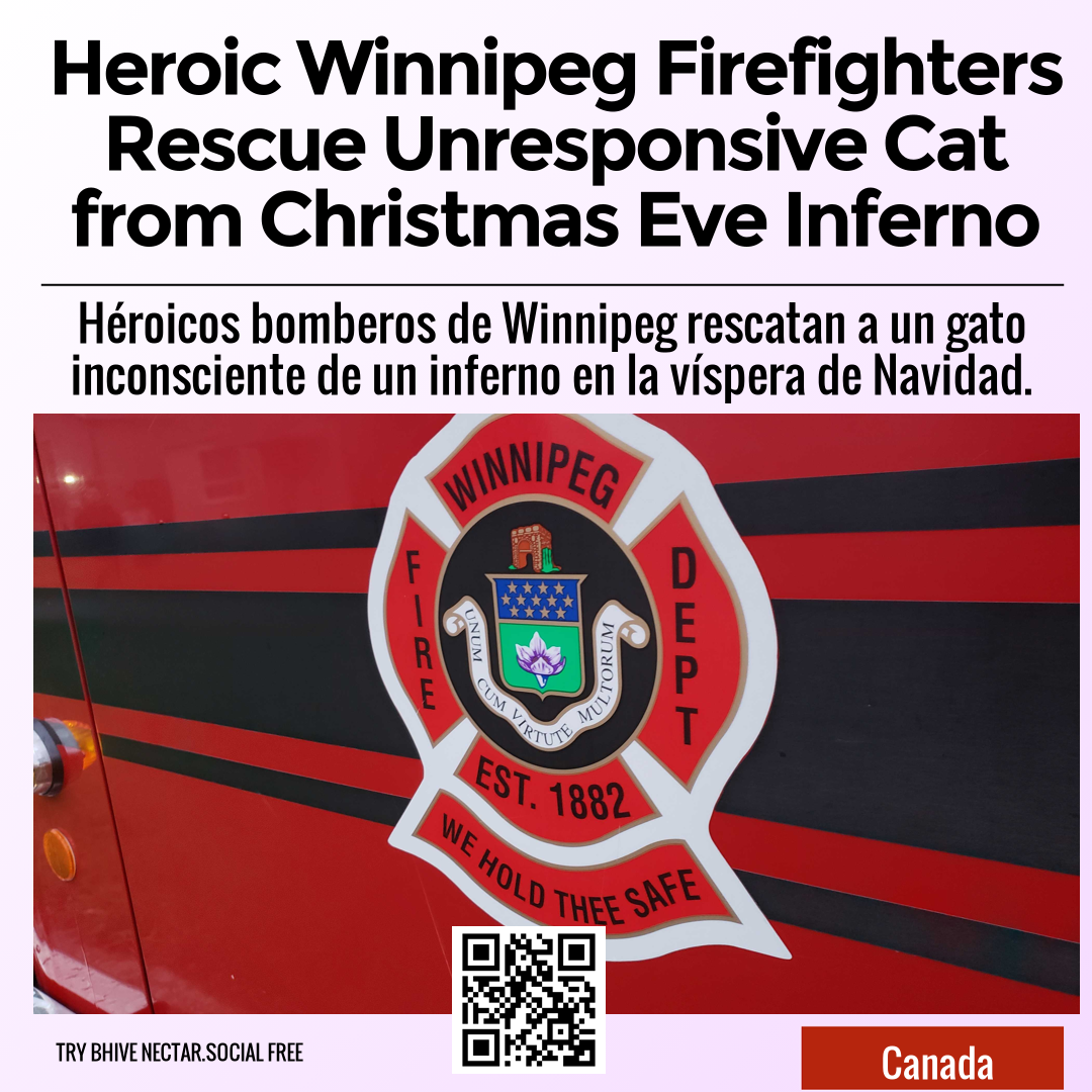Heroic Winnipeg Firefighters Rescue Unresponsive Cat from Christmas Eve Inferno