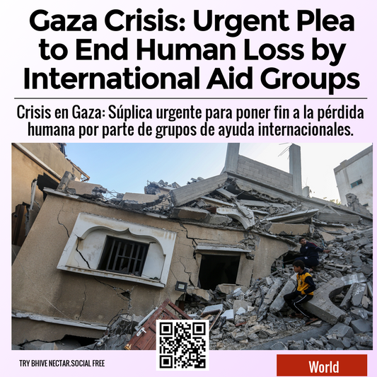 Gaza Crisis: Urgent Plea to End Human Loss by International Aid Groups