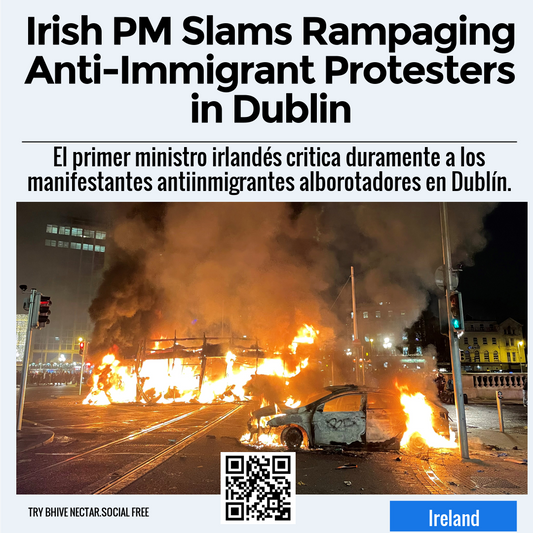 Irish PM Slams Rampaging Anti-Immigrant Protesters in Dublin