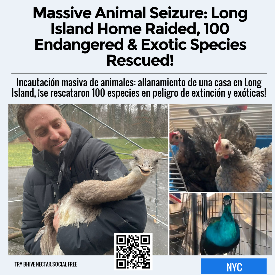 Massive Animal Seizure: Long Island Home Raided, 100 Endangered & Exotic Species Rescued!