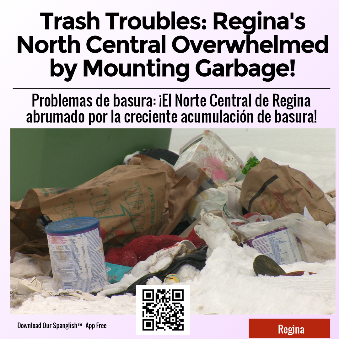 Trash Troubles: Regina's North Central Overwhelmed by Mounting Garbage!