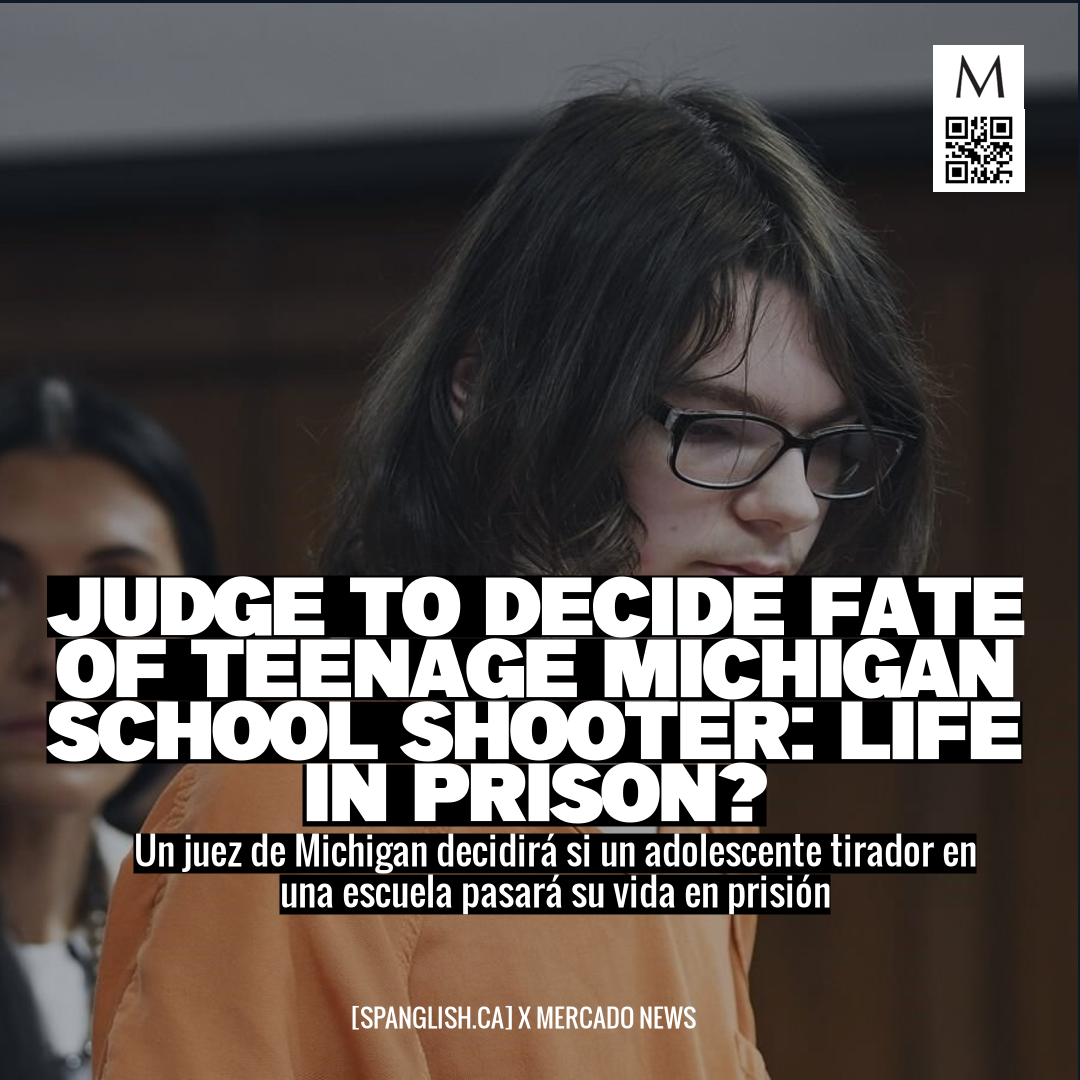 Judge to Decide Fate of Teenage Michigan School Shooter: Life in Prison?