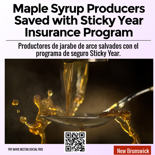 Maple Syrup Producers Saved with Sticky Year Insurance Program