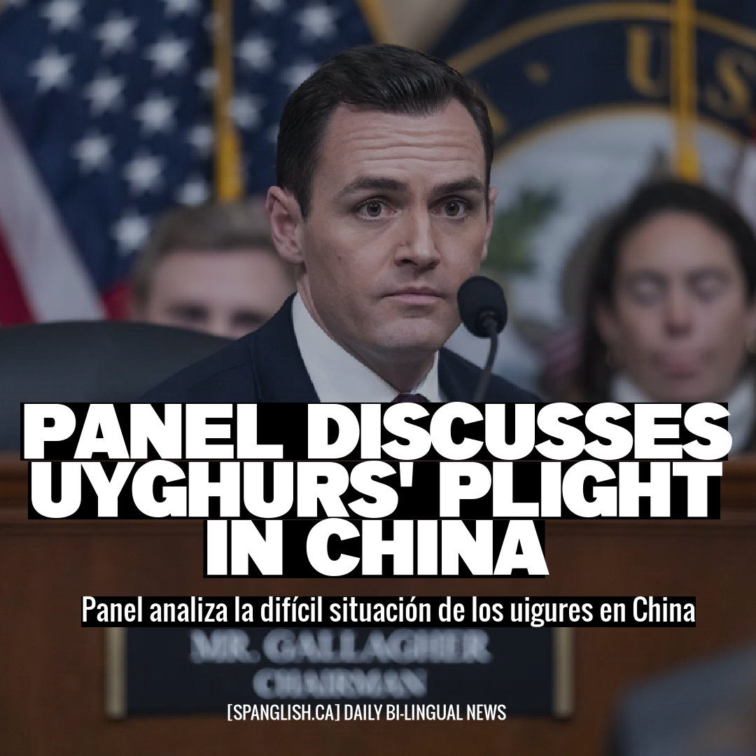 Panel Discusses Uyghurs' Plight in China