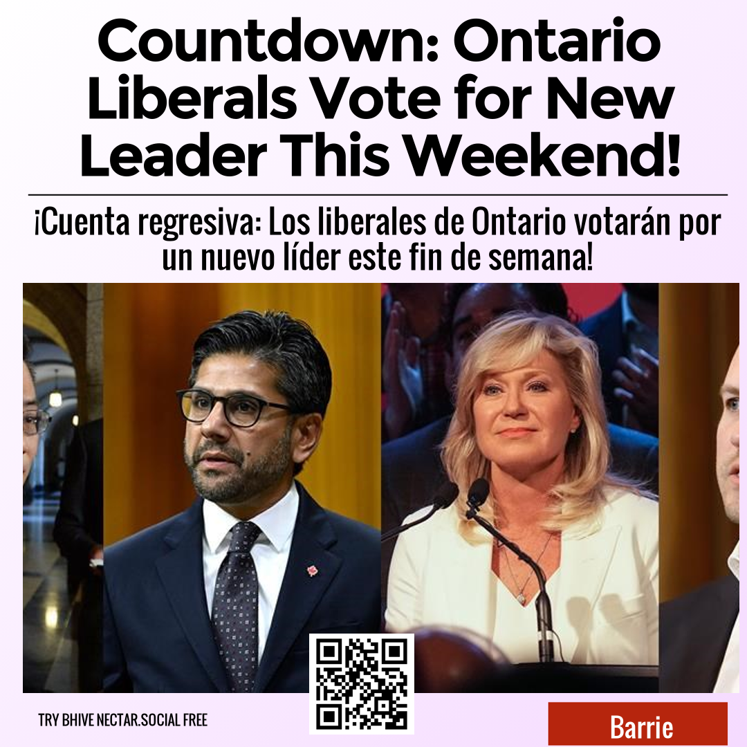 Countdown: Ontario Liberals Vote for New Leader This Weekend!