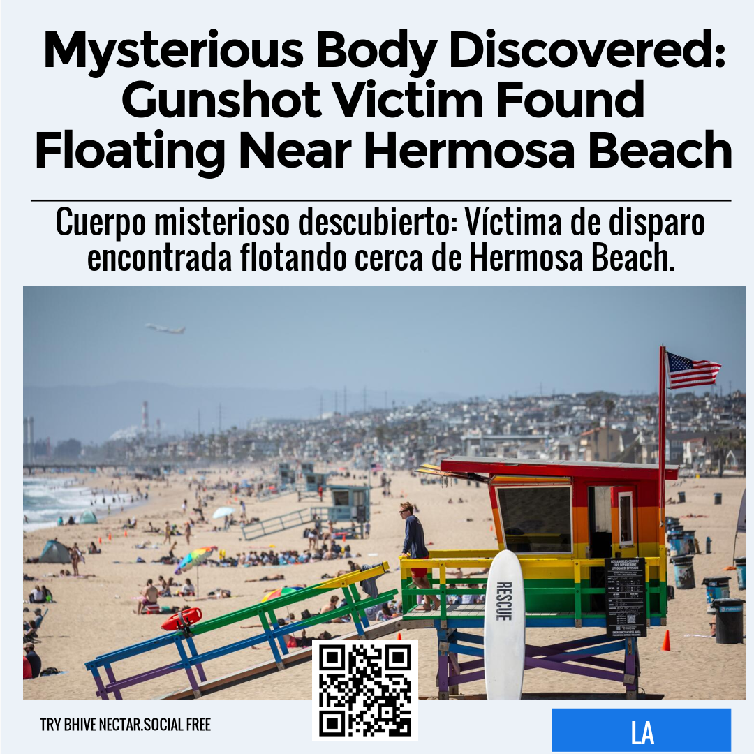 Mysterious Body Discovered: Gunshot Victim Found Floating Near Hermosa Beach