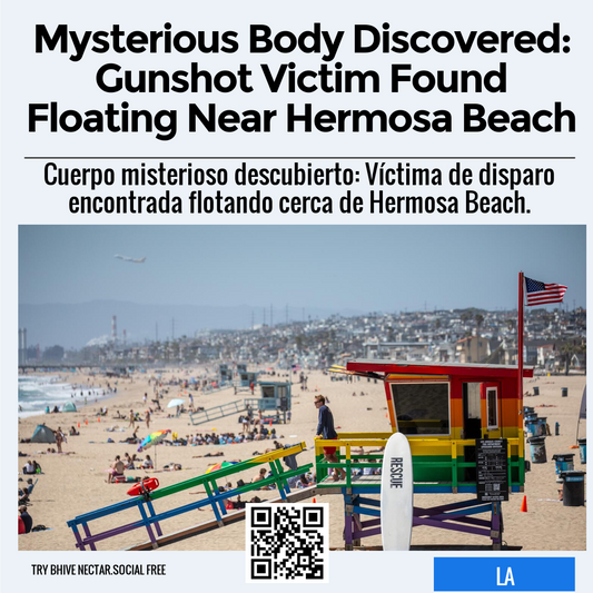 Mysterious Body Discovered: Gunshot Victim Found Floating Near Hermosa Beach