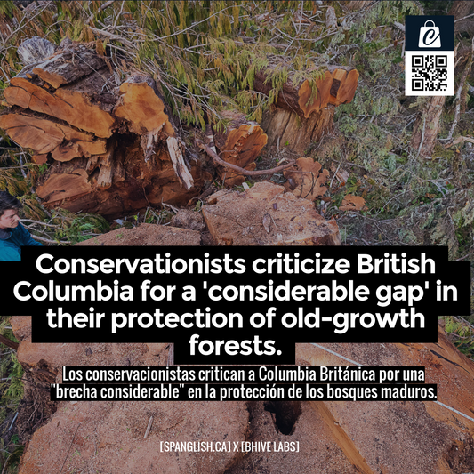 Conservationists criticize British Columbia for a 'considerable gap' in their protection of old-growth forests.