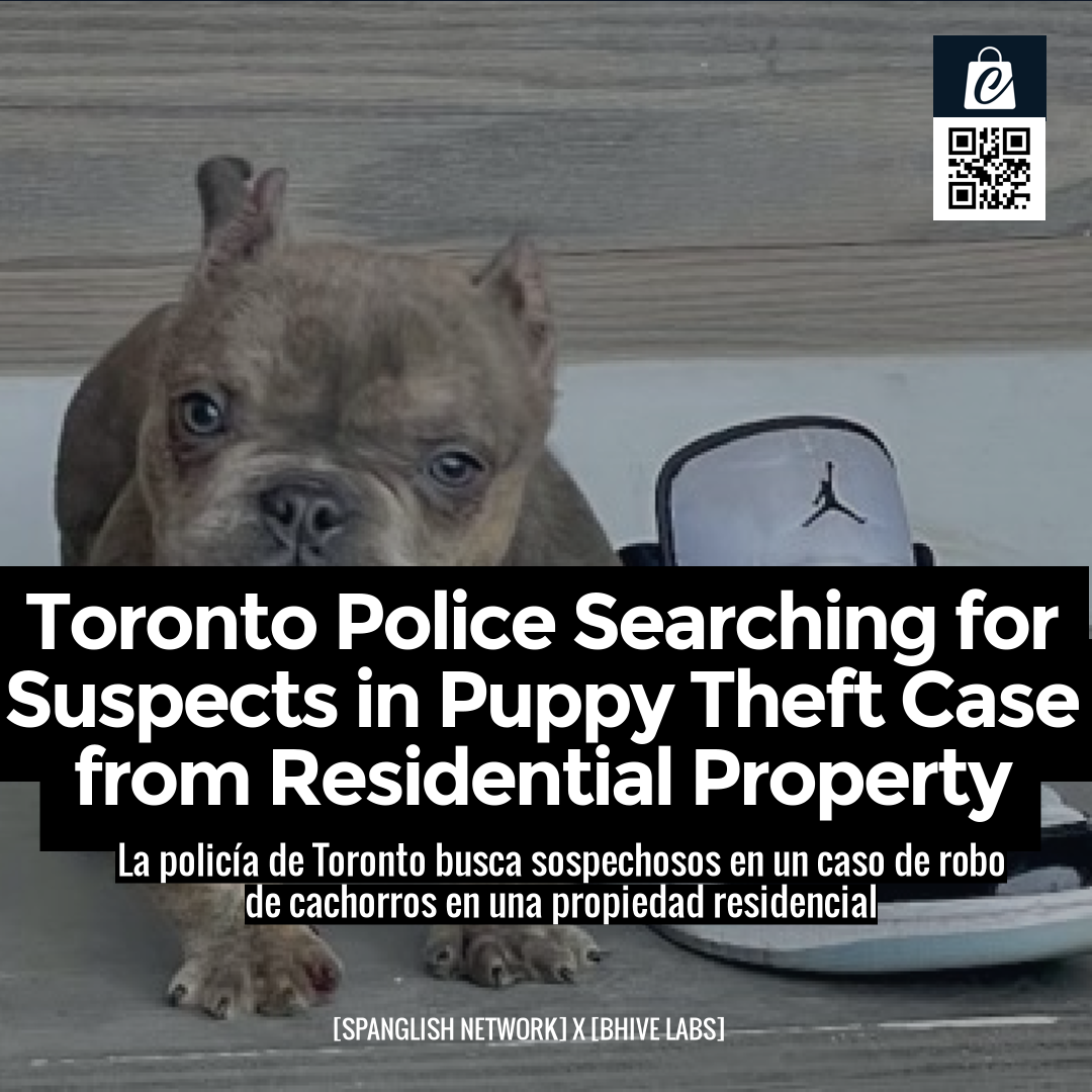 Toronto Police Searching for Suspects in Puppy Theft Case from Residential Property