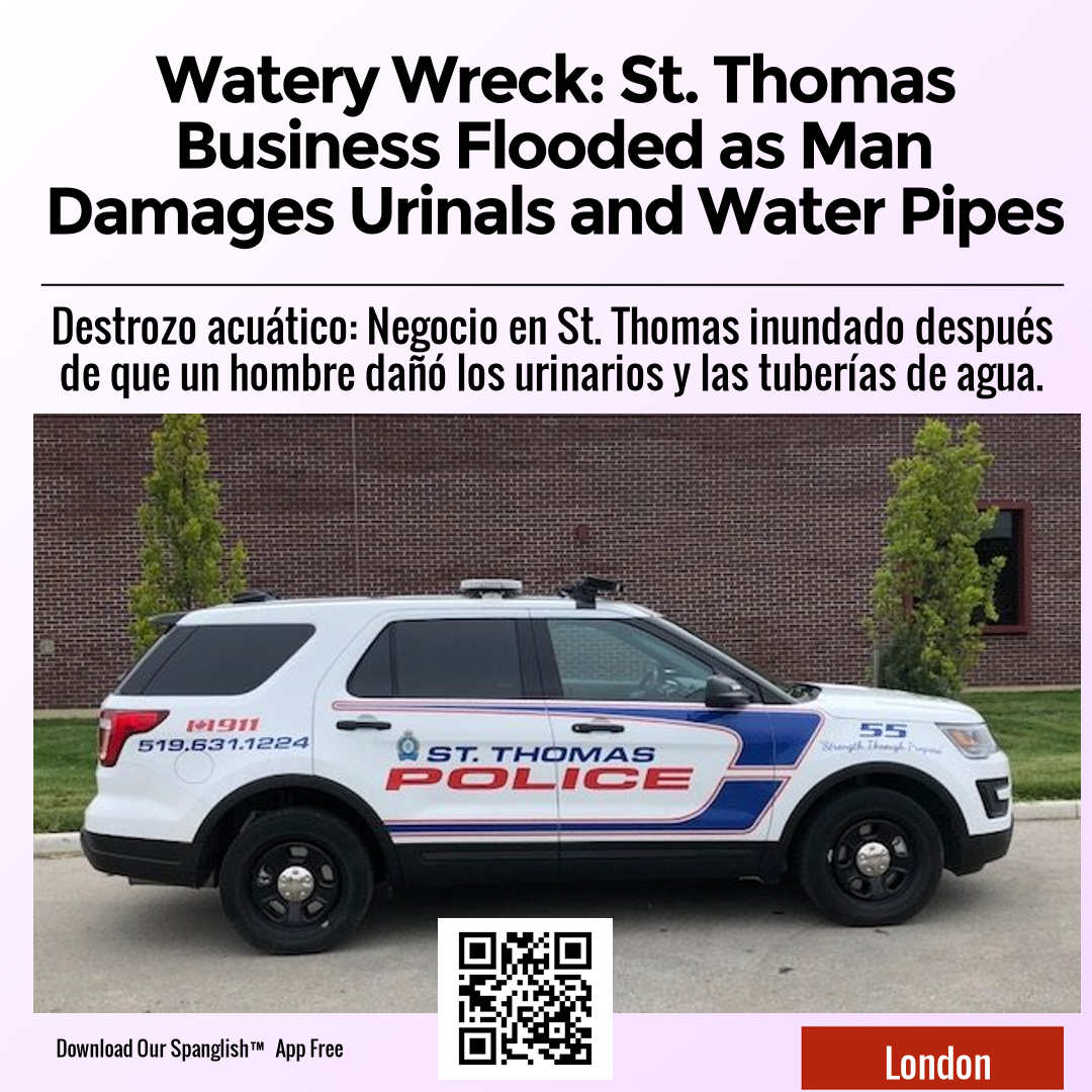 Watery Wreck: St. Thomas Business Flooded as Man Damages Urinals and Water Pipes