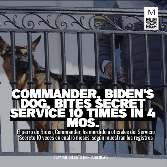 Commander, Biden's Dog, Bites Secret Service 10 Times in 4 Mos.