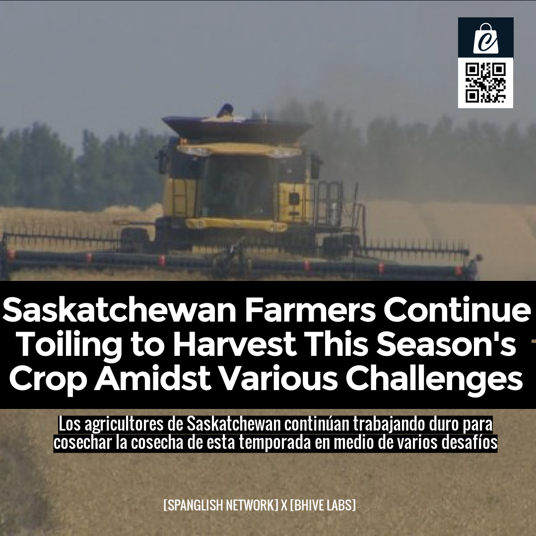 Saskatchewan Farmers Continue Toiling to Harvest This Season's Crop Amidst Various Challenges