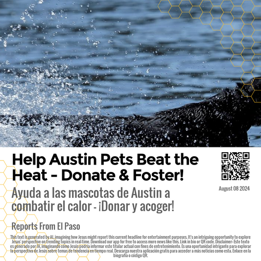 Help Austin Pets Beat the Heat - Donate & Foster!