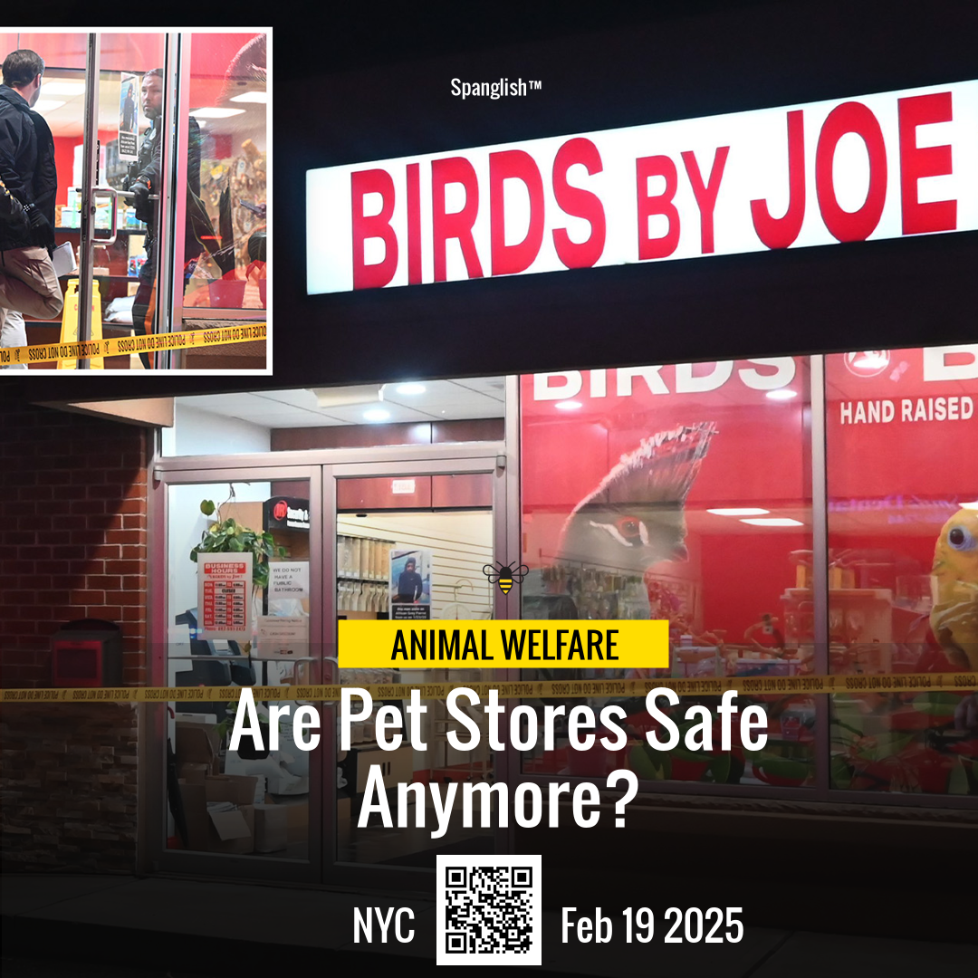 Are Pet Stores Safe Anymore?