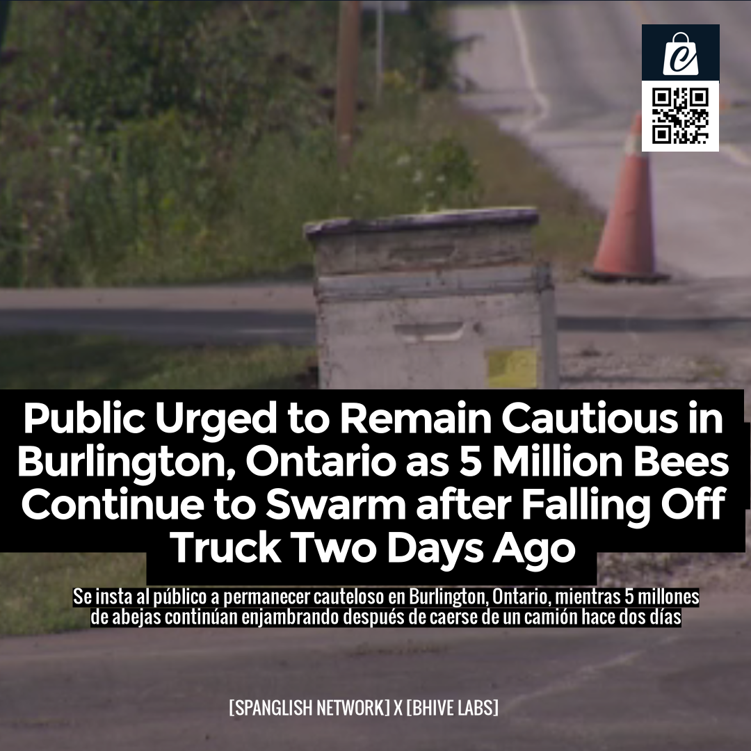 Public Urged to Remain Cautious in Burlington, Ontario as 5 Million Bees Continue to Swarm after Falling Off Truck Two Days Ago