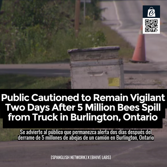 Public Cautioned to Remain Vigilant Two Days After 5 Million Bees Spill from Truck in Burlington, Ontario