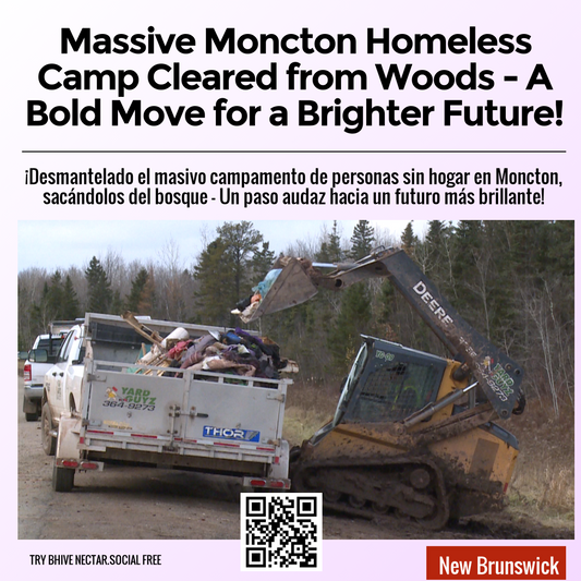 Massive Moncton Homeless Camp Cleared from Woods - A Bold Move for a Brighter Future!