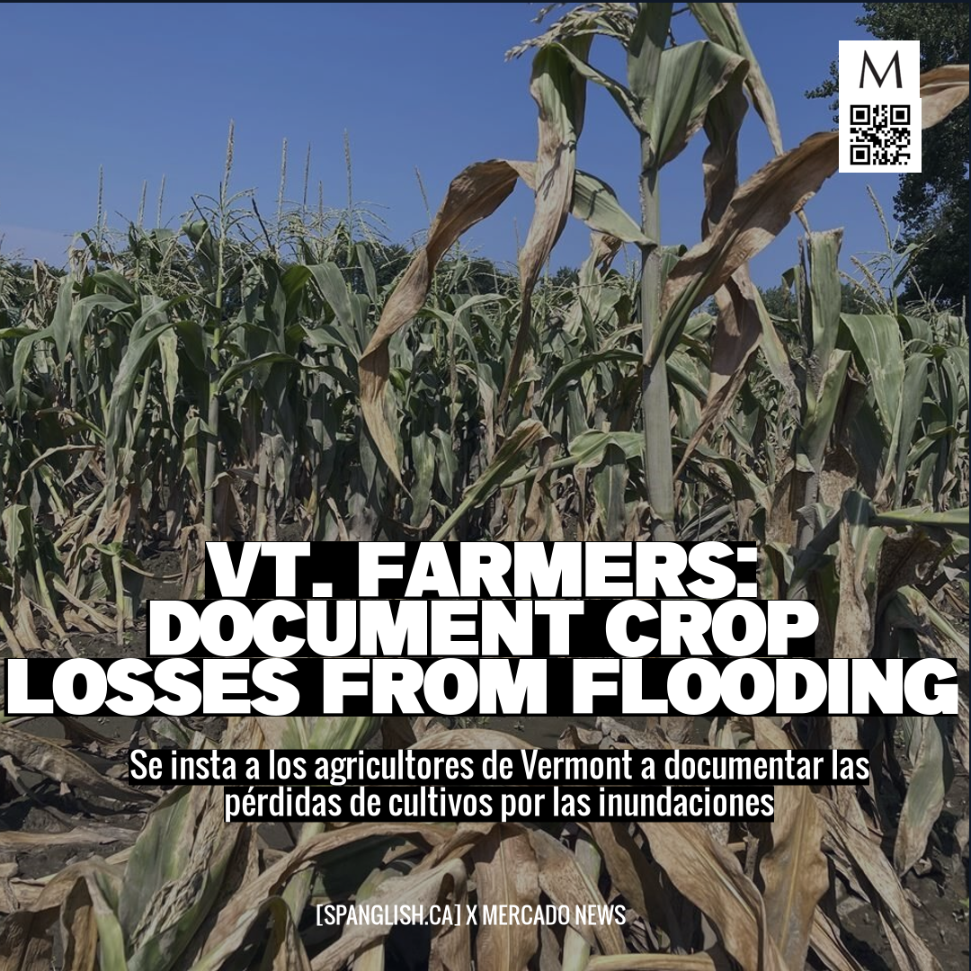 Vt. Farmers: Document Crop Losses from Flooding