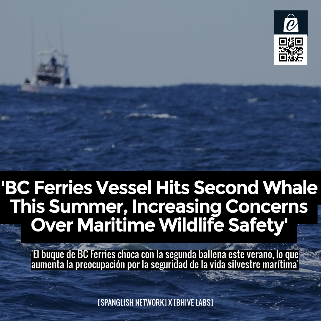 'BC Ferries Vessel Hits Second Whale This Summer, Increasing Concerns Over Maritime Wildlife Safety'