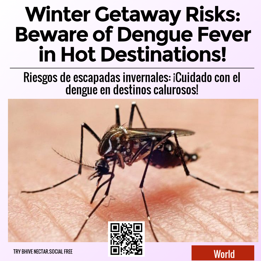 Winter Getaway Risks: Beware of Dengue Fever in Hot Destinations!