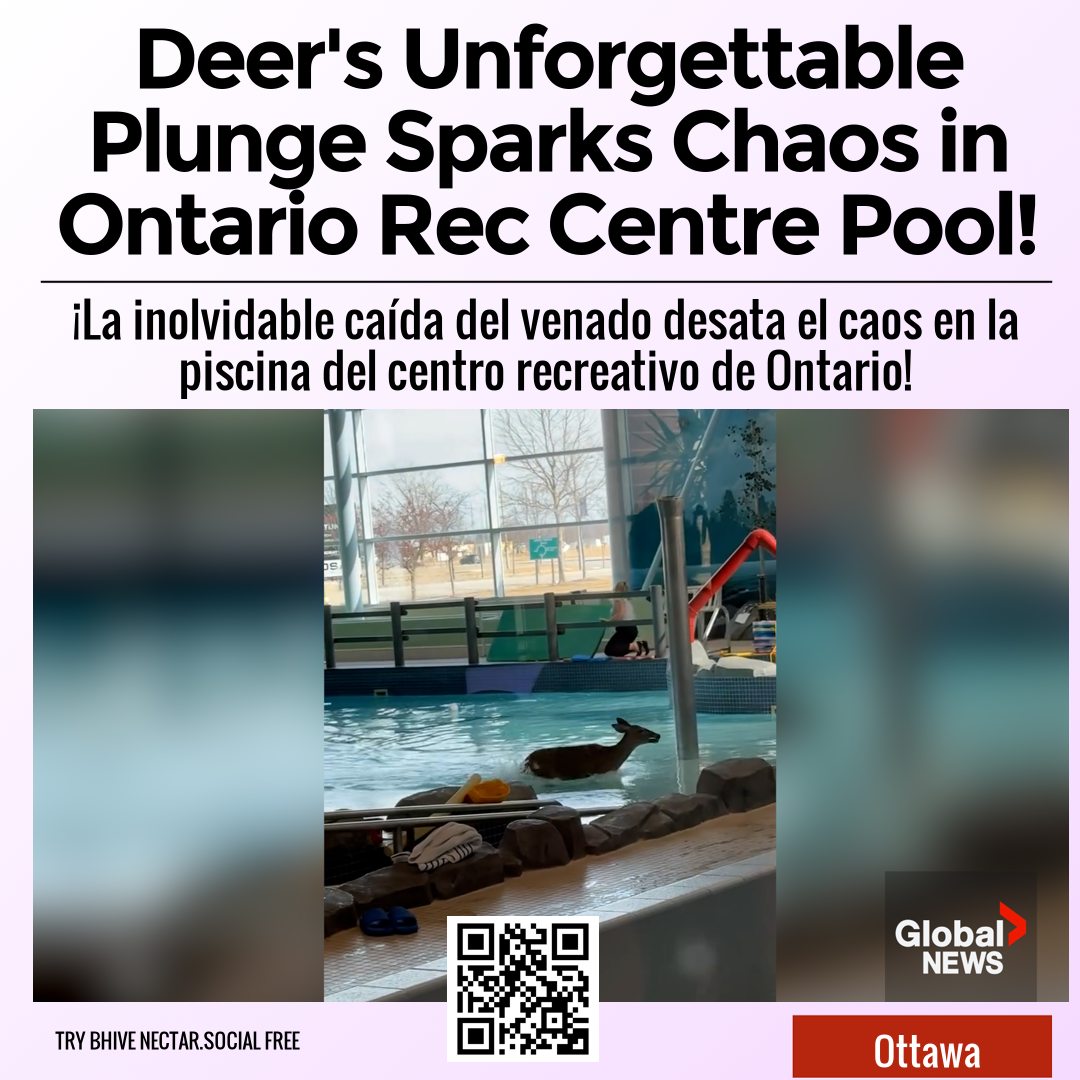 Deer's Unforgettable Plunge Sparks Chaos in Ontario Rec Centre Pool!