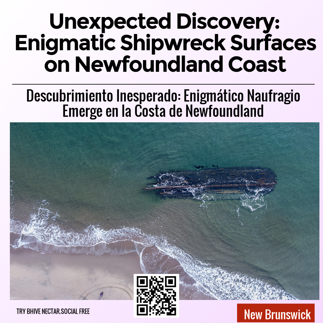 Unexpected Discovery: Enigmatic Shipwreck Surfaces on Newfoundland Coast