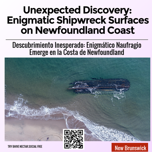 Unexpected Discovery: Enigmatic Shipwreck Surfaces on Newfoundland Coast