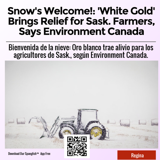 Snow's Welcome!: 'White Gold' Brings Relief for Sask. Farmers, Says Environment Canada