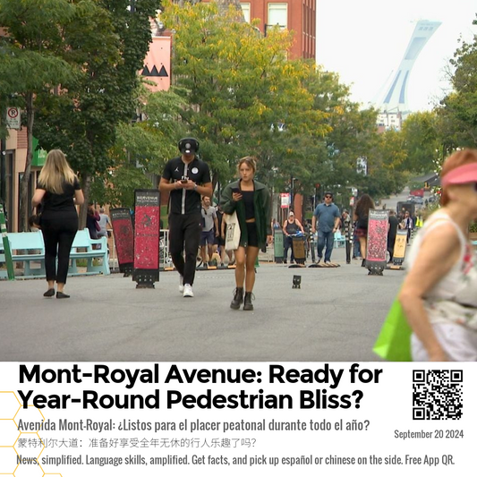 Mont-Royal Avenue: Ready for Year-Round Pedestrian Bliss?