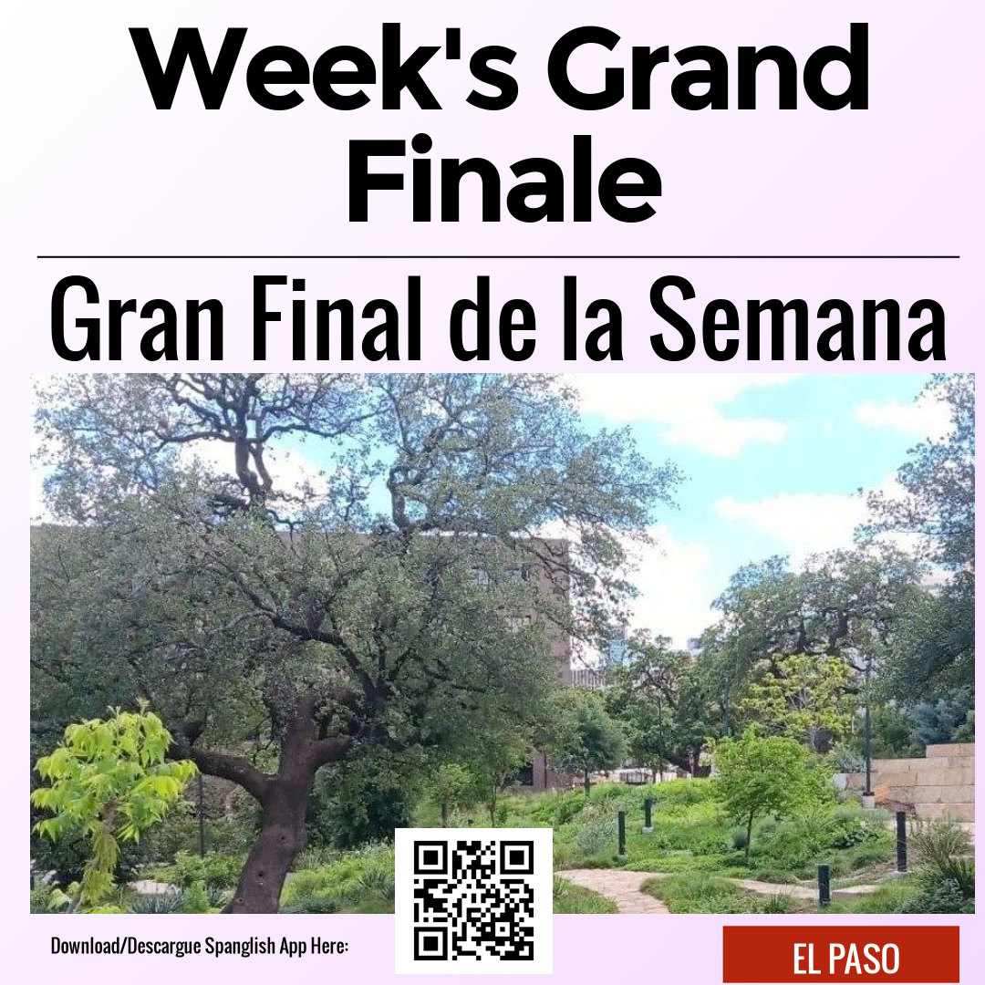 Week's Grand Finale