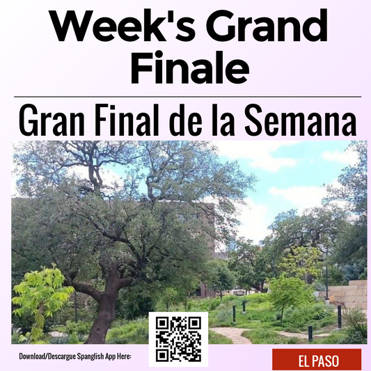 Week's Grand Finale