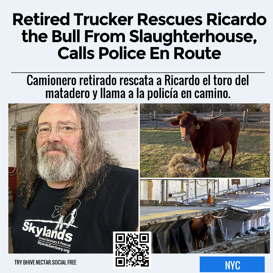 Retired Trucker Rescues Ricardo the Bull From Slaughterhouse, Calls Police En Route