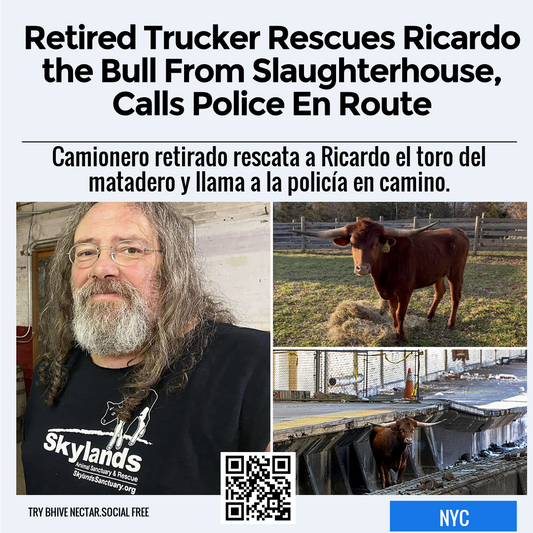Retired Trucker Rescues Ricardo the Bull From Slaughterhouse, Calls Police En Route