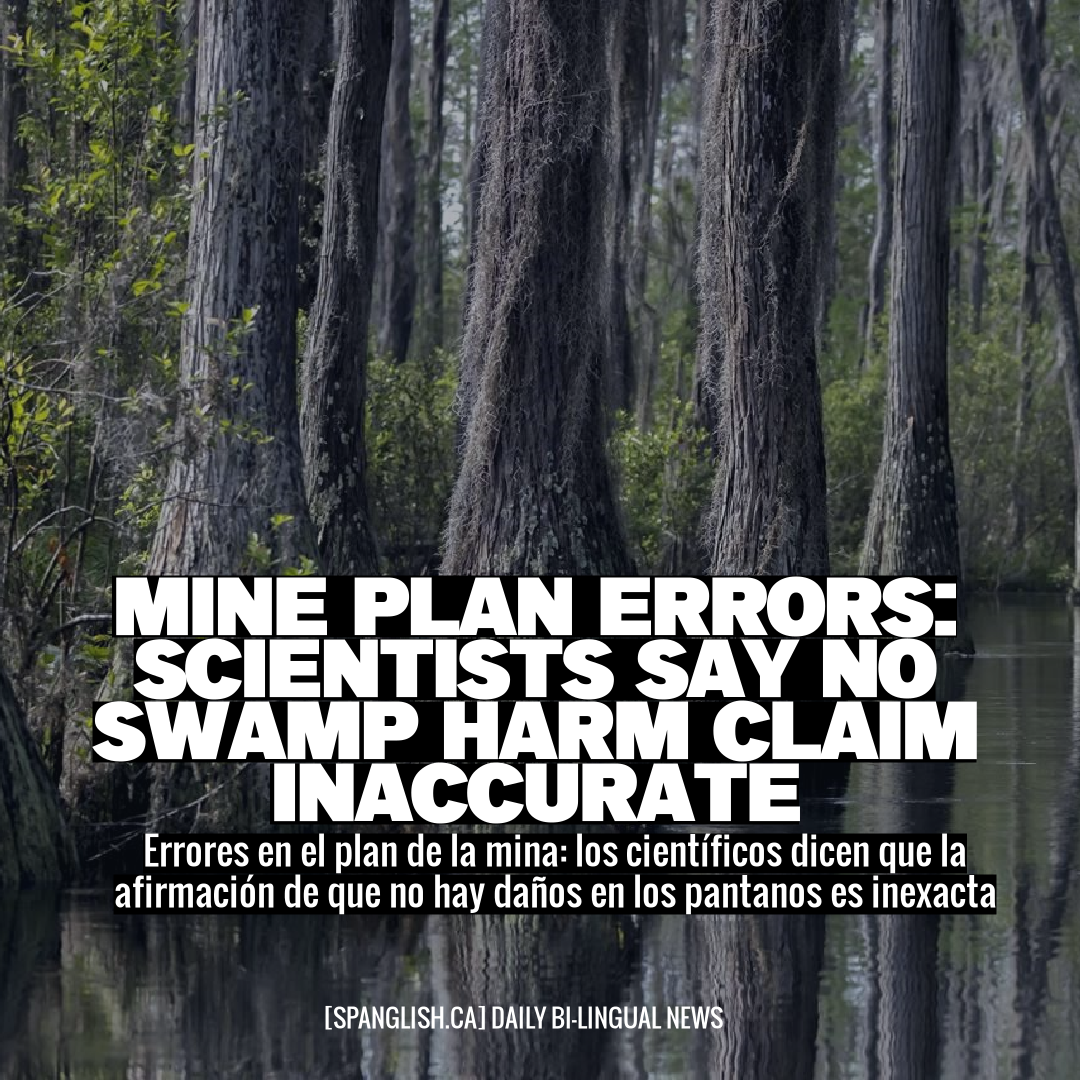 Mine Plan Errors: Scientists Say No Swamp Harm Claim Inaccurate