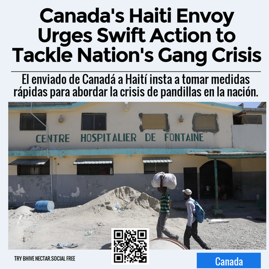 Canada's Haiti Envoy Urges Swift Action to Tackle Nation's Gang Crisis