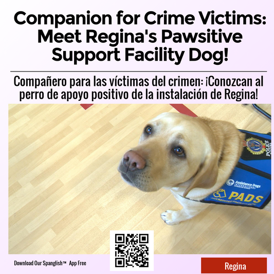 Companion for Crime Victims: Meet Regina's Pawsitive Support Facility Dog!