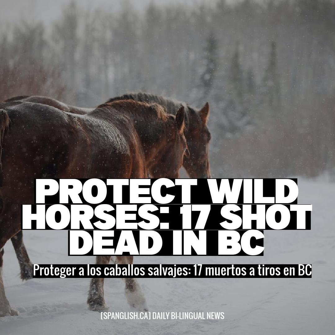 Protect Wild Horses: 17 Shot Dead in BC