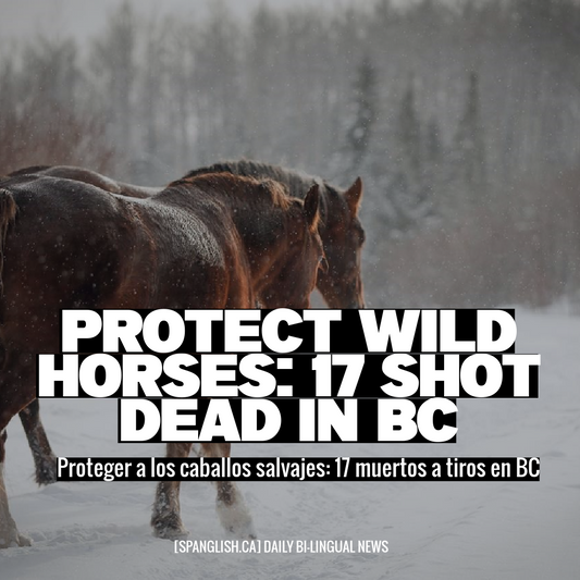 Protect Wild Horses: 17 Shot Dead in BC