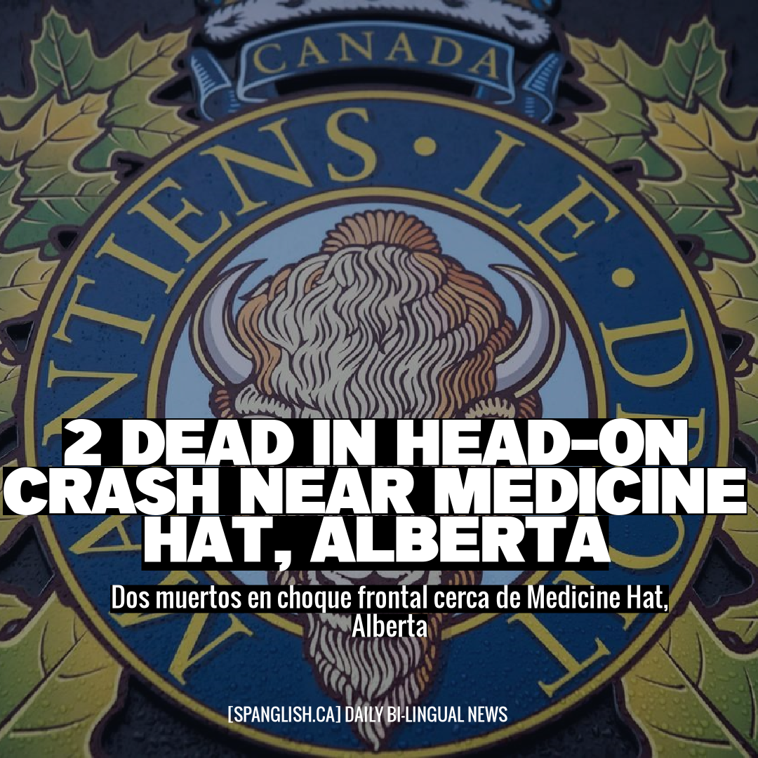 2 Dead in Head-on Crash Near Medicine Hat, Alberta