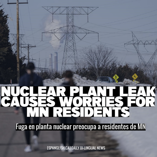 Nuclear Plant Leak Causes Worries for MN Residents